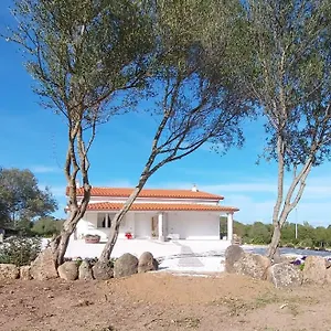Hébergement de vacances - Alebea -, Olbia